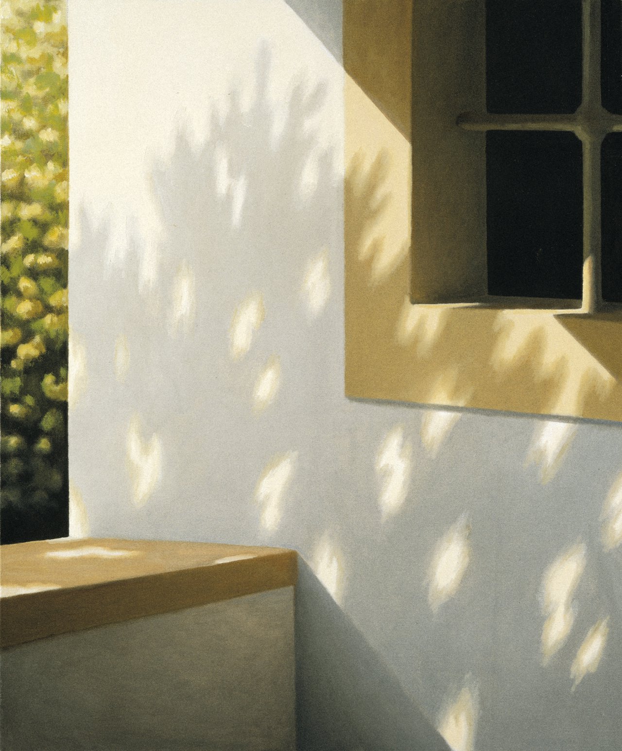 Detail with Shadows