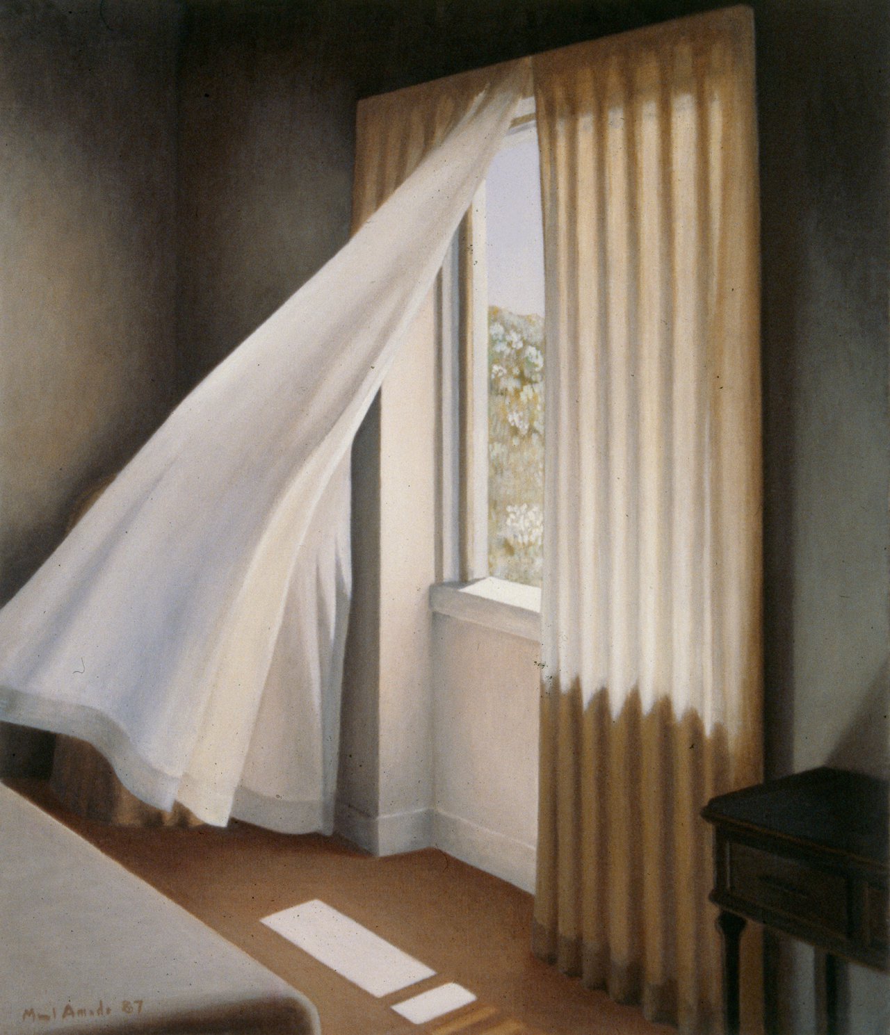 Window with Curtains I