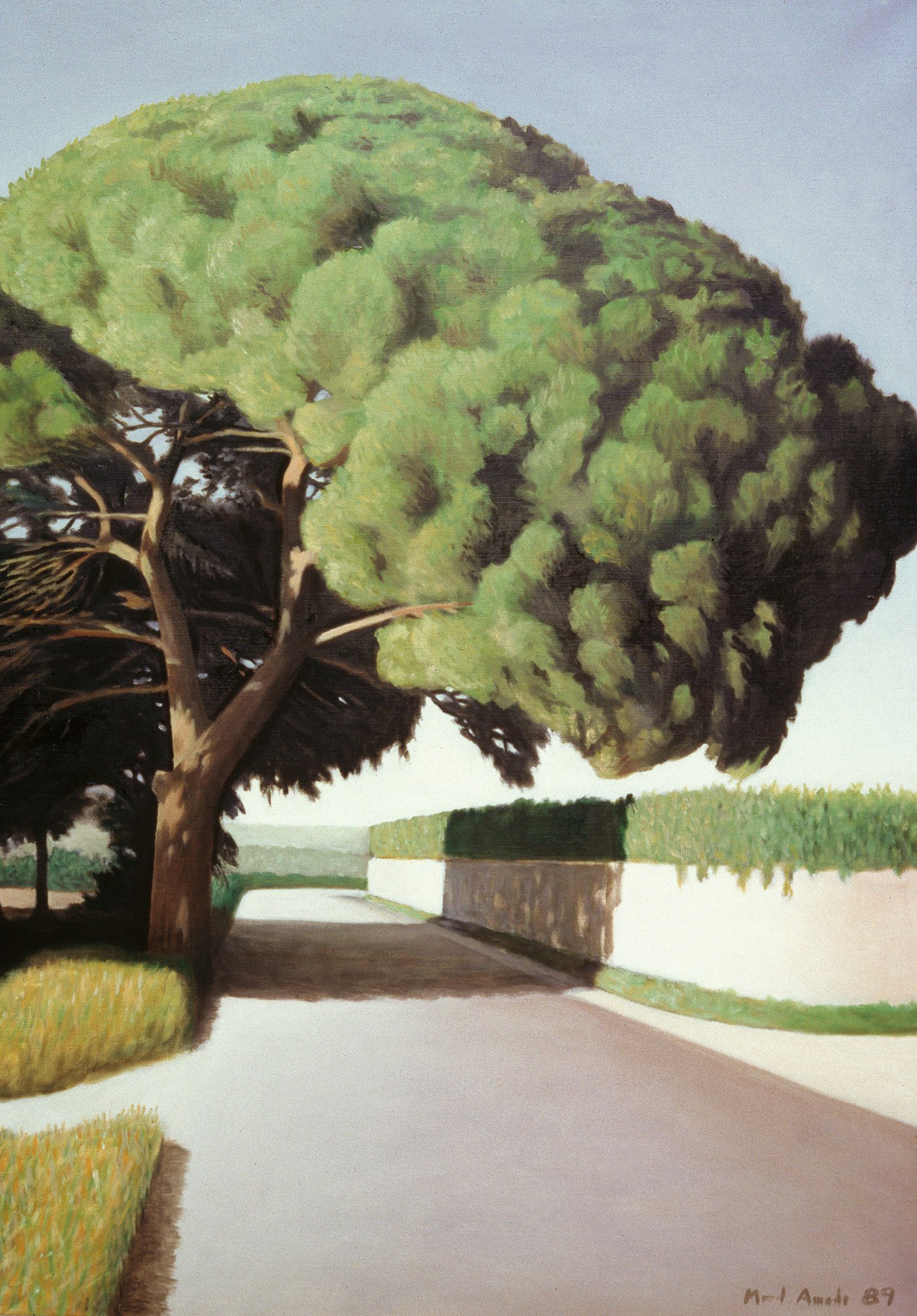 Road with Pine Tree I