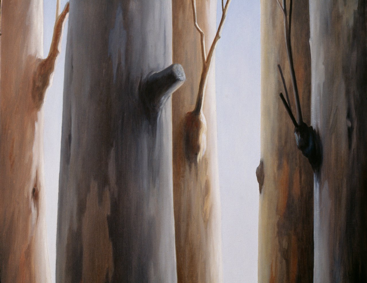 Eucalyptus Trees (detail)