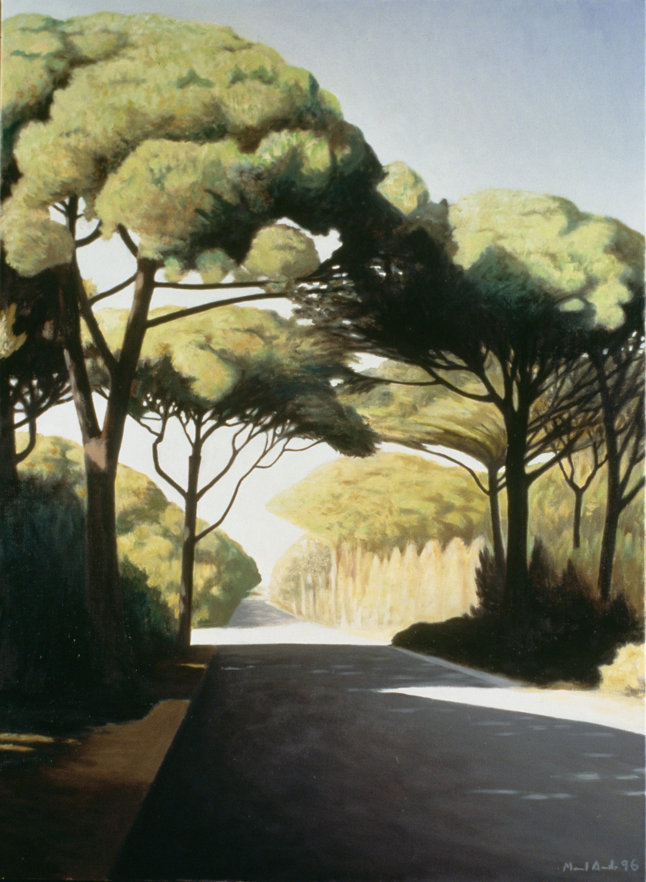 Road with Pine Trees