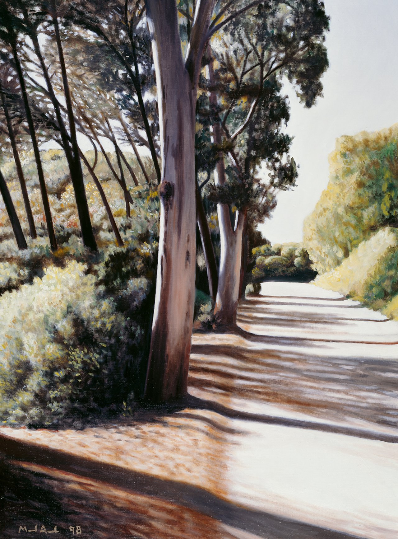 Road with Eucalyptus Trees II